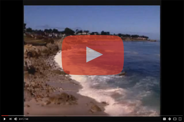 Rotational Molding Beach Erosion Solutions, Natural Solution to beach Erosion